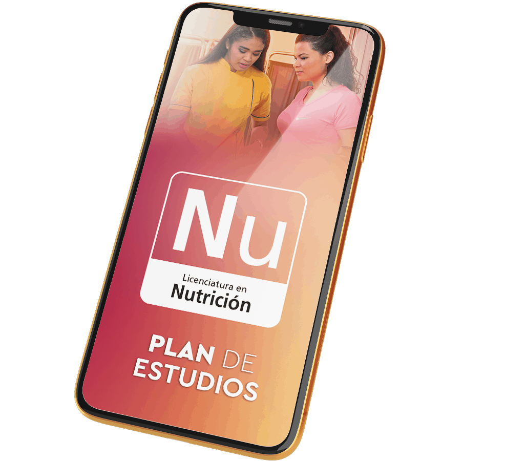 Plan de Estudios