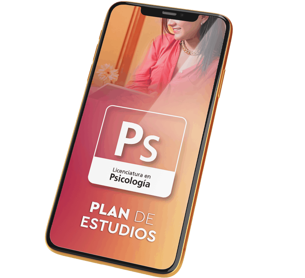 Plan de Estudios