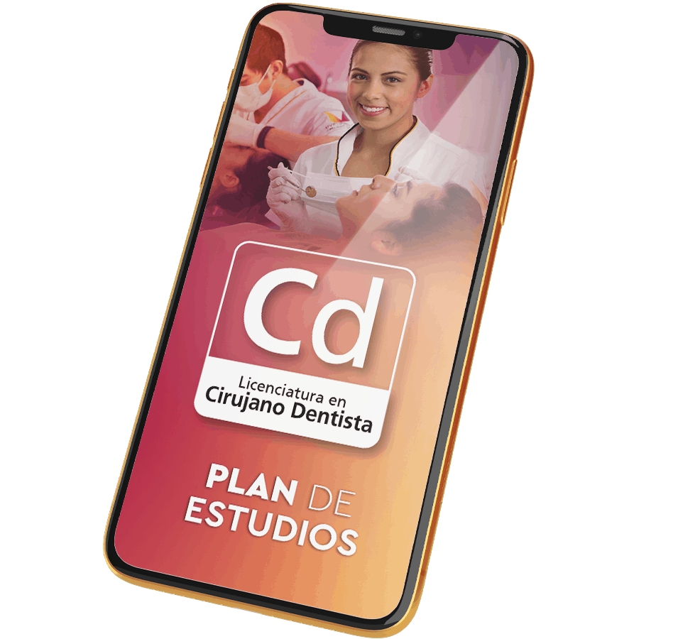 Plan de Estudios