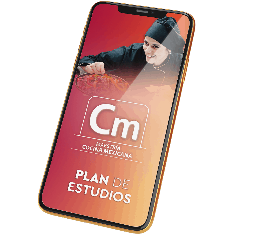 Plan de Estudios