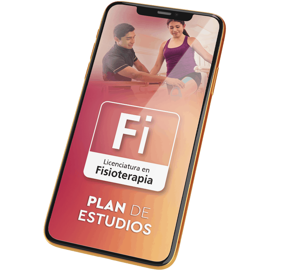 Plan de Estudios