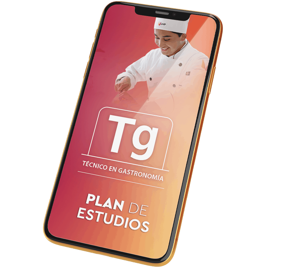 Plan de Estudios